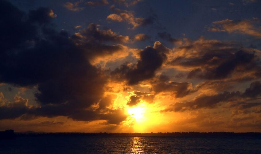 Praesent maximus consequat ante